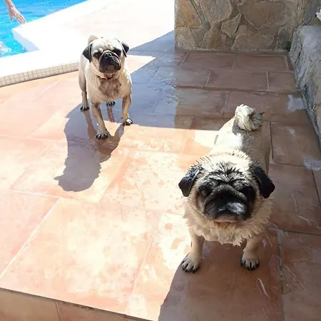 La Casita Villa Mutxamel